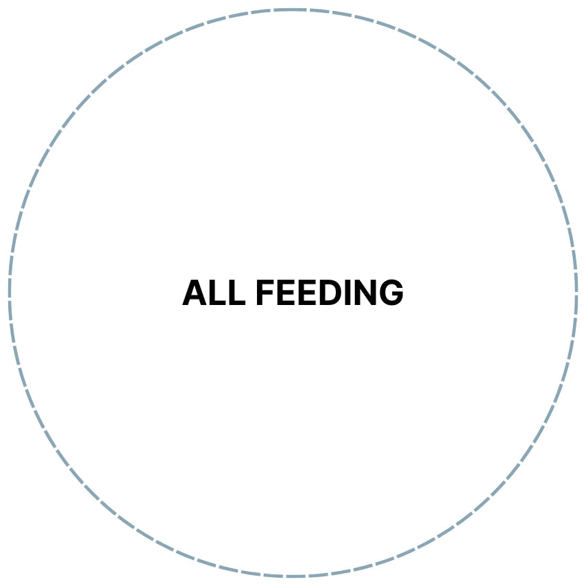 Feeding | Baby Little Planet