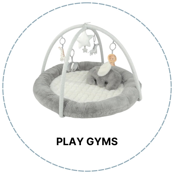 Play Gyms | Baby Little Planet