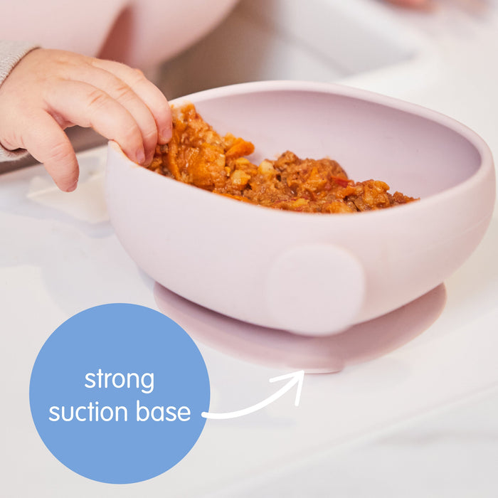 BBox Silicone Bowl + Lid